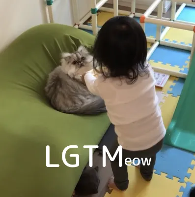 LGTM image