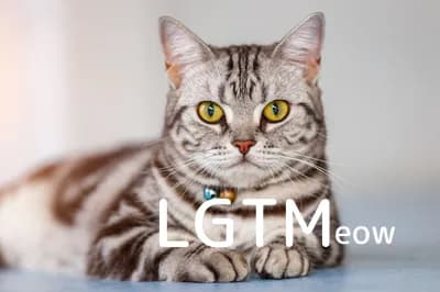 LGTM image
