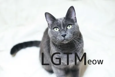 LGTM image