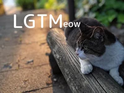 LGTM image