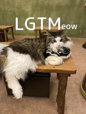 LGTM image