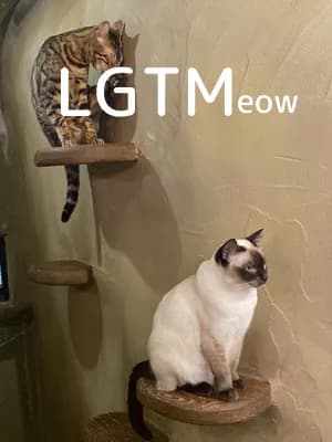 LGTM image