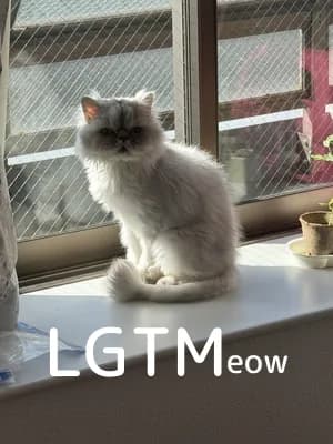 LGTM image