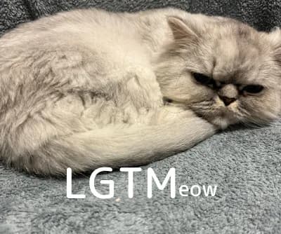 LGTM image