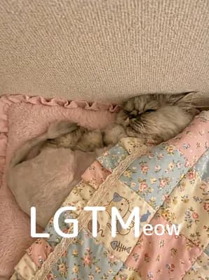 LGTM image