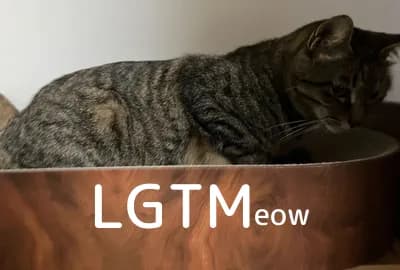LGTM image