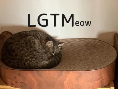 LGTM image