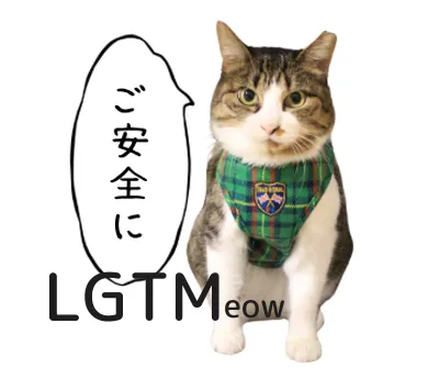 LGTM image