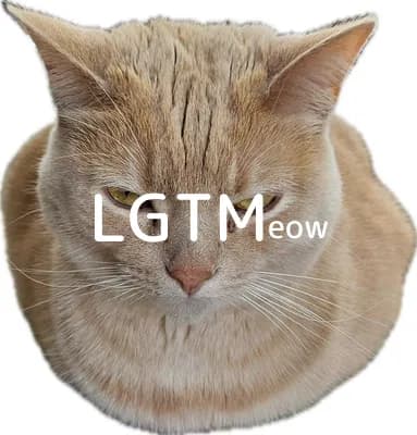 LGTM image
