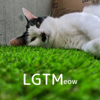 LGTM image