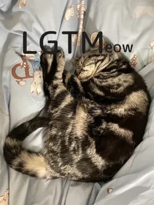 LGTM image