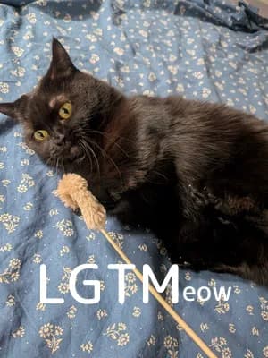 LGTM image
