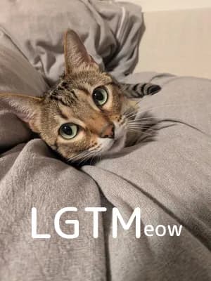 LGTM image
