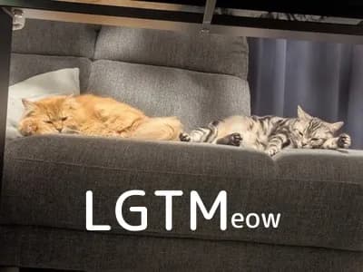 LGTM image