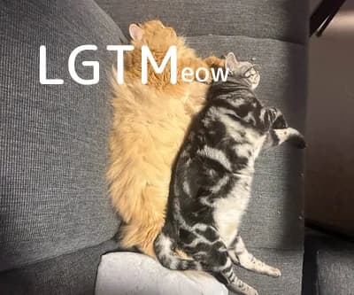 LGTM image