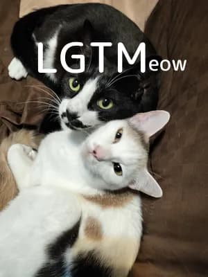 LGTM image
