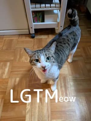 LGTM image