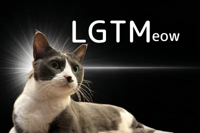 LGTM image