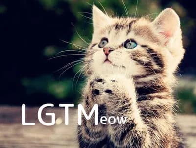 LGTM image