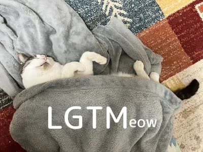 LGTM image