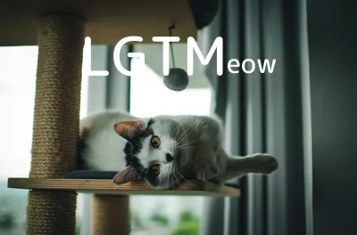 LGTM image