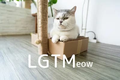 LGTM image