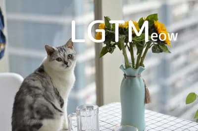 LGTM image