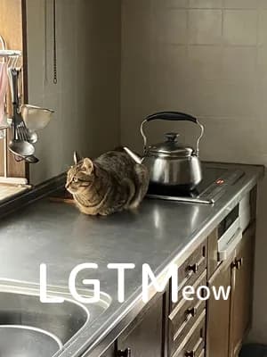 LGTM image