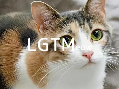 LGTM image