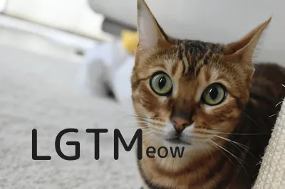 LGTM image