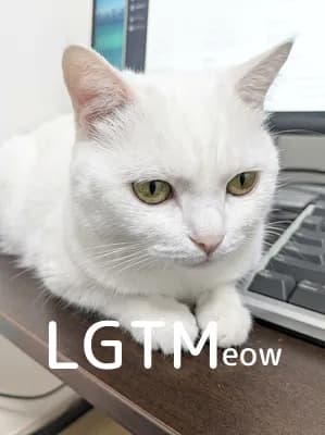 LGTM image