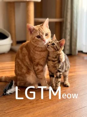 LGTM image