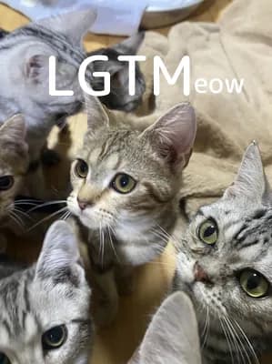 LGTM image