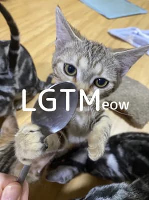 LGTM image