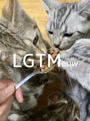 LGTM image