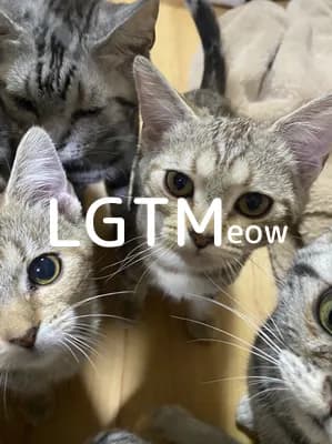 LGTM image