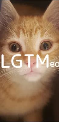 LGTM image