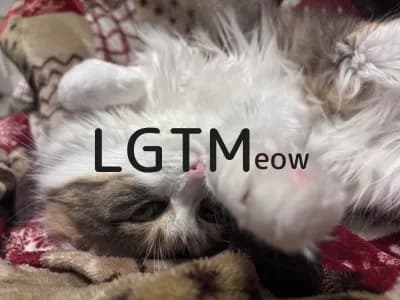 LGTM image