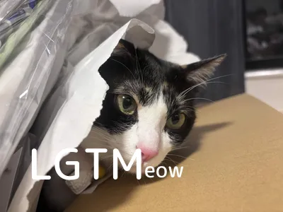 LGTM image