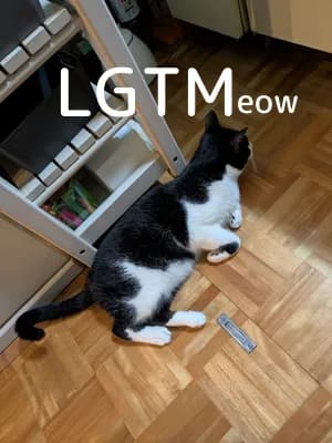LGTM image