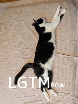 LGTM image