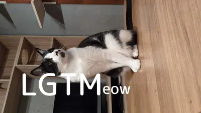 LGTM image