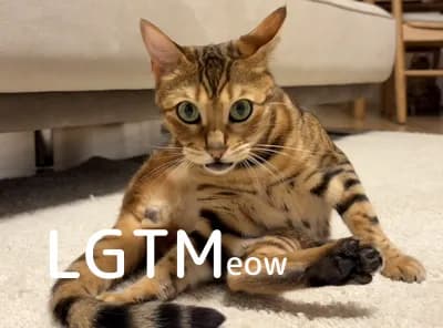 LGTM image