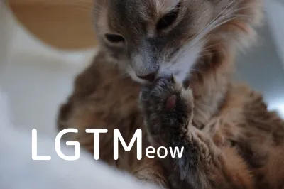 LGTM image