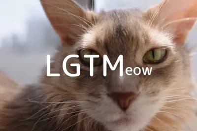 LGTM image