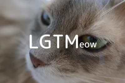 LGTM image