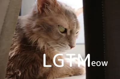 LGTM image