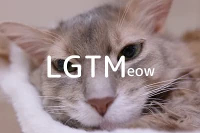 LGTM image