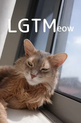 LGTM image
