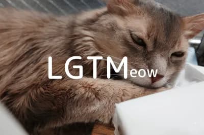 LGTM image